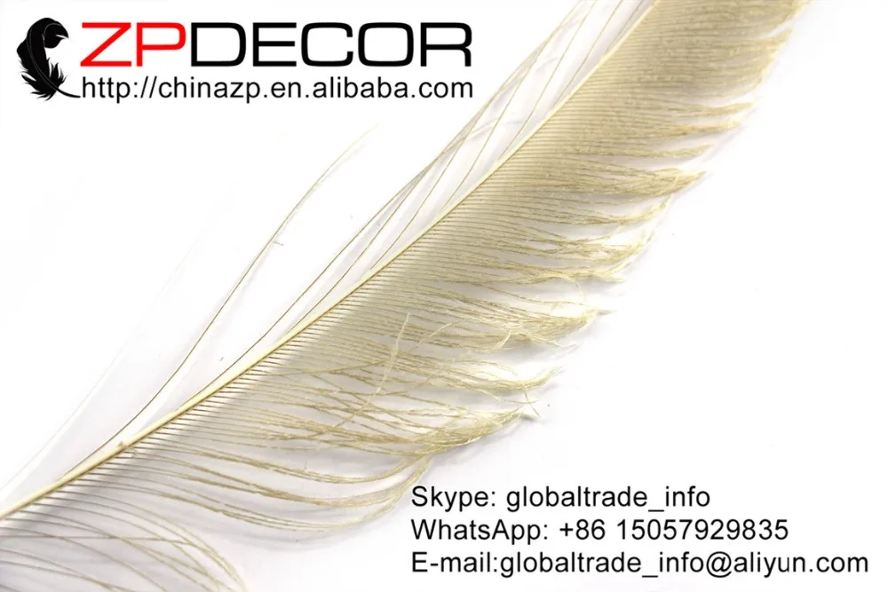 Фото ZPDECOR 50 шт./лот 30-40 см (12-16 дюймов) ручной выбор премиум качества цвета слоновой кости оптовая продажа павлиньих мечей ограненных перьев распро... №5