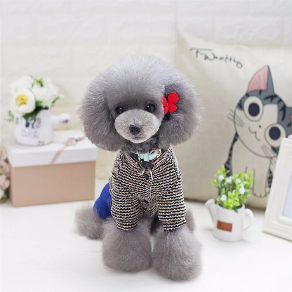 Новое поступление Симпатичная зимняя куртка для собаки с четырьмя ножками В