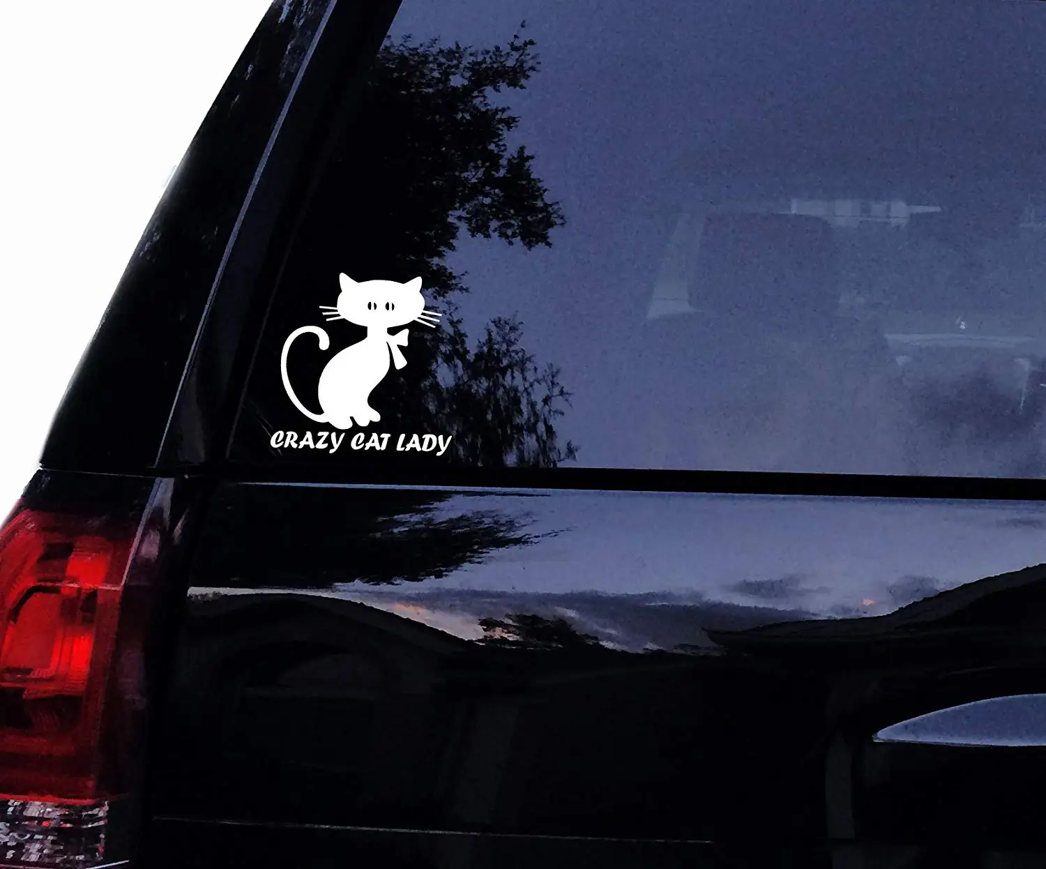 

Crazy CAT Lady Silhouette - Cat Vinyl Car Decal, Laptop Decal, Window Car Wall Sticker (4in, White)