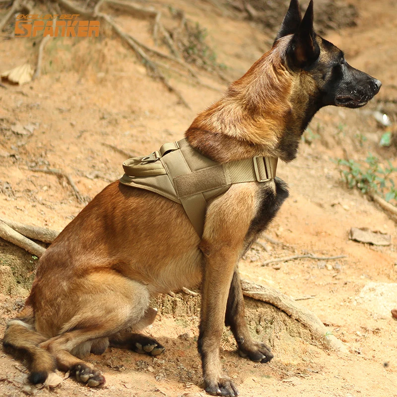 Средние и большие ошейники для собак K9 нагрудный ремень тактический Одежда с принтом в виде собак Золотой мод колье Одежда с принтом в виде собак для домашних животных