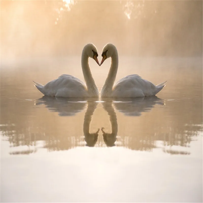 Custom 3D painting wallpaper PVC adhesive wear non-slip waterproof Two swans water European ultra modern kitchen mural sticker |