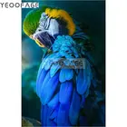 5D квадратная алмазная живопись, вышивка крестиком, животные, попугай, мозаика, картины стразы, домашний декор, сделай сам, алмазная вышивка, иконы
