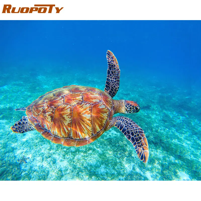 190617-8 RUOPOTY рамка морская черепаха Сделай Сам краска по номерам каллиграфия краска акриловая краска по номерам набор домашний декор настенная художественная картина - Цвет: 190617-8