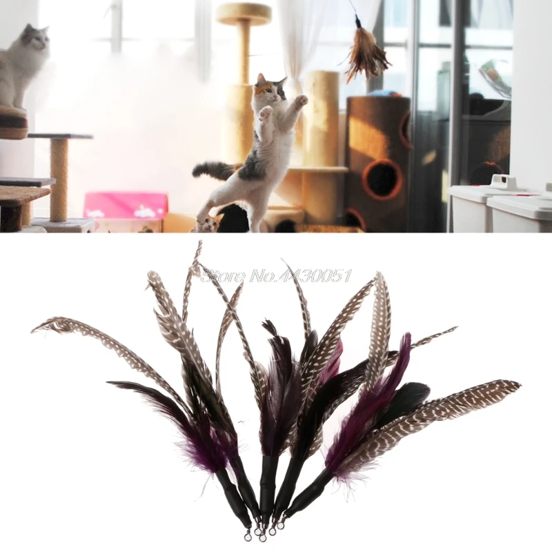 5 шт. ручной работы из натурального перьевая кошачья игрушка да птиц для заправки