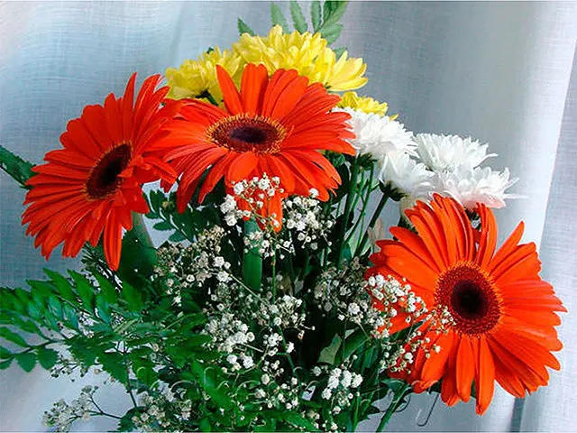 5D DIY diamond painting cross stitch kits resin drill pasted full square embroidery Mosaic Red daisy picture | Дом и сад