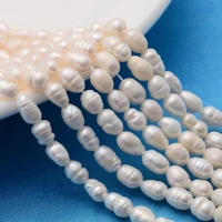 natural pearl beads strands rice ivory 68x45mm hole 1mm about 49pcsstrand 13 7714 17
