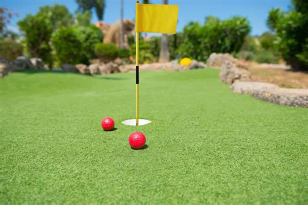 CRESTGOLF 1 комплект в упаковке, Набор для игры в гольф на заднем дворике, установка шеста для гольфа с отверстием для гольфа и флагом