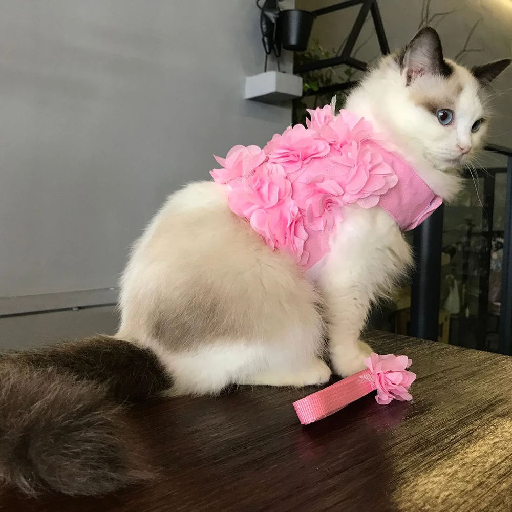 Восхитительный цветочный Pet ремешок для кошек и собак безопасности прогулки