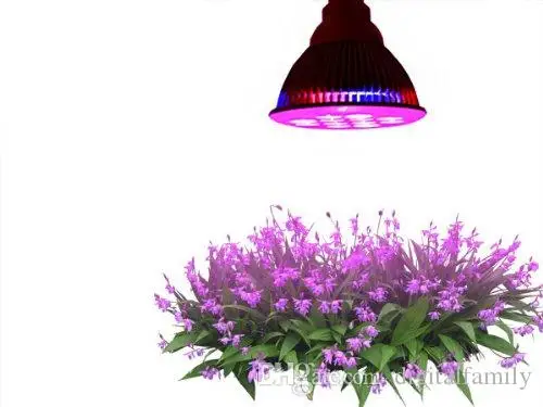 Светодиодный Grow светильник лампочка E27 12 Вт 85 265V чудо для выращивания растений 110V