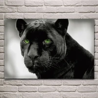 animal panthers selective color black panther green eye close look posters on the wall picture home living room decoration ex370