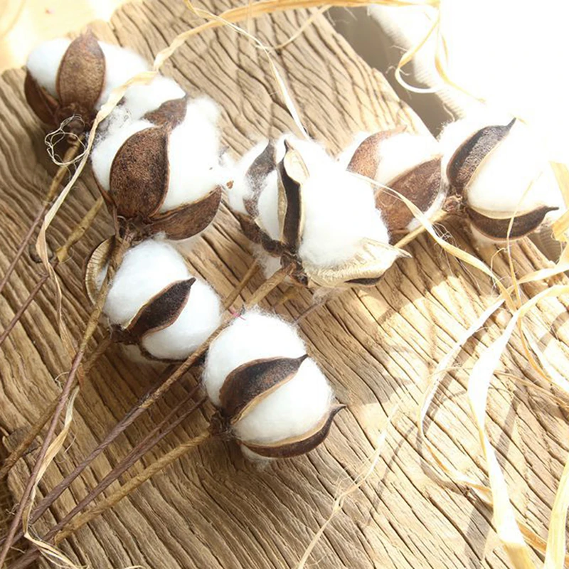 5 шт. Натуральные Сушеные хлопковые цветы рукоделие сделай сам сушеные