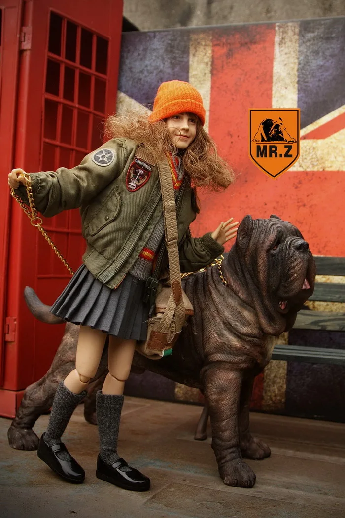 1/6 масштабная фигурка Scence аксессуар Mr. Z Neapolitan собака мастифф статуя животного модель игрушки 4 цвета для коллекции
