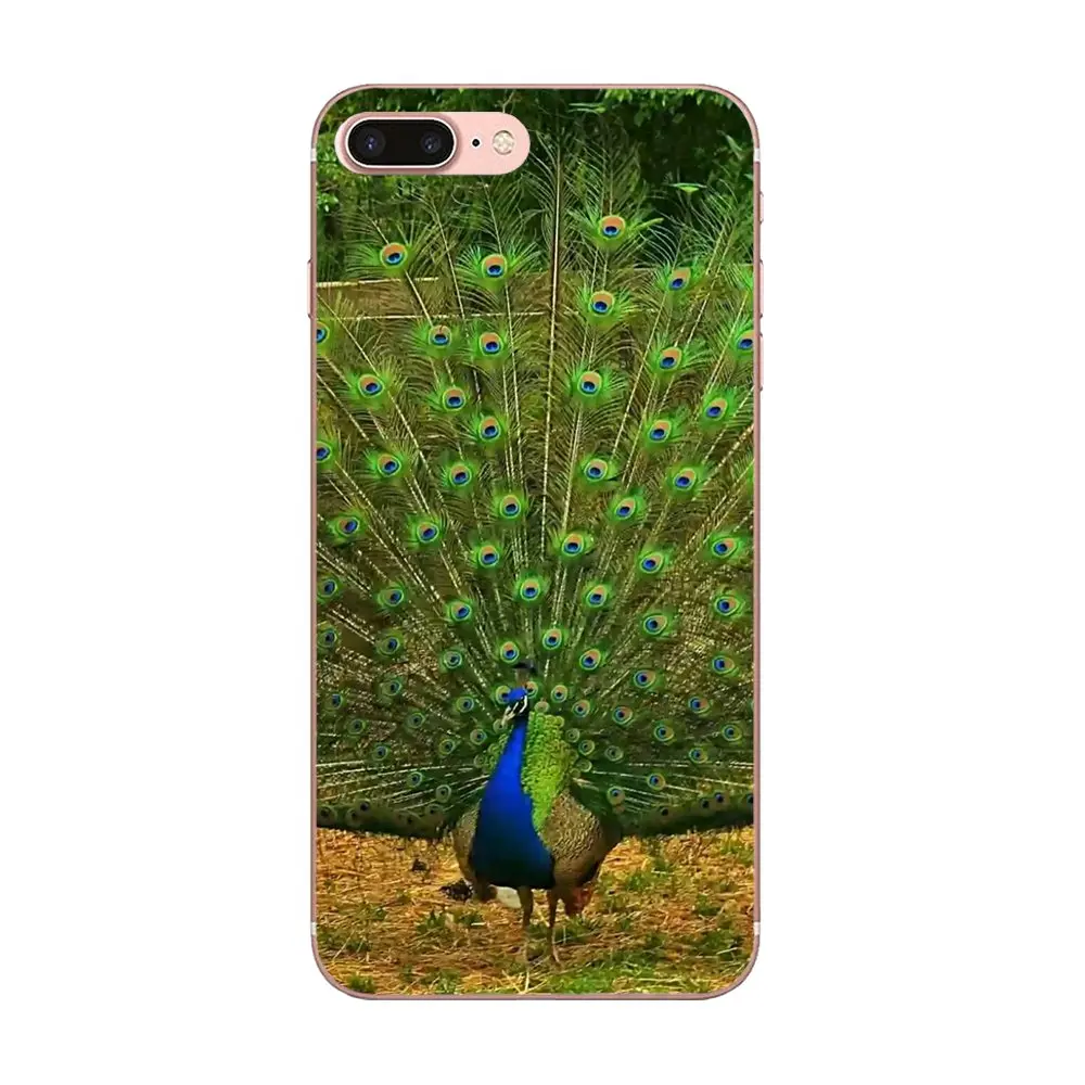 Мягкий чехол из ТПУ для Huawei Honor 4C 5A 5C 5X 6 6C 6A 6X 7 7X 8 9 V8 V10 Y3II Y5II Y6II G8 P7 Play Lite Pretty Peacock