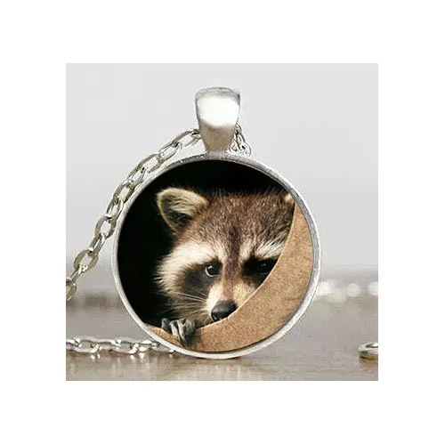 Raccoon фото логотип подвеска в стиле стимпанк винтажное ожерелье dr who
