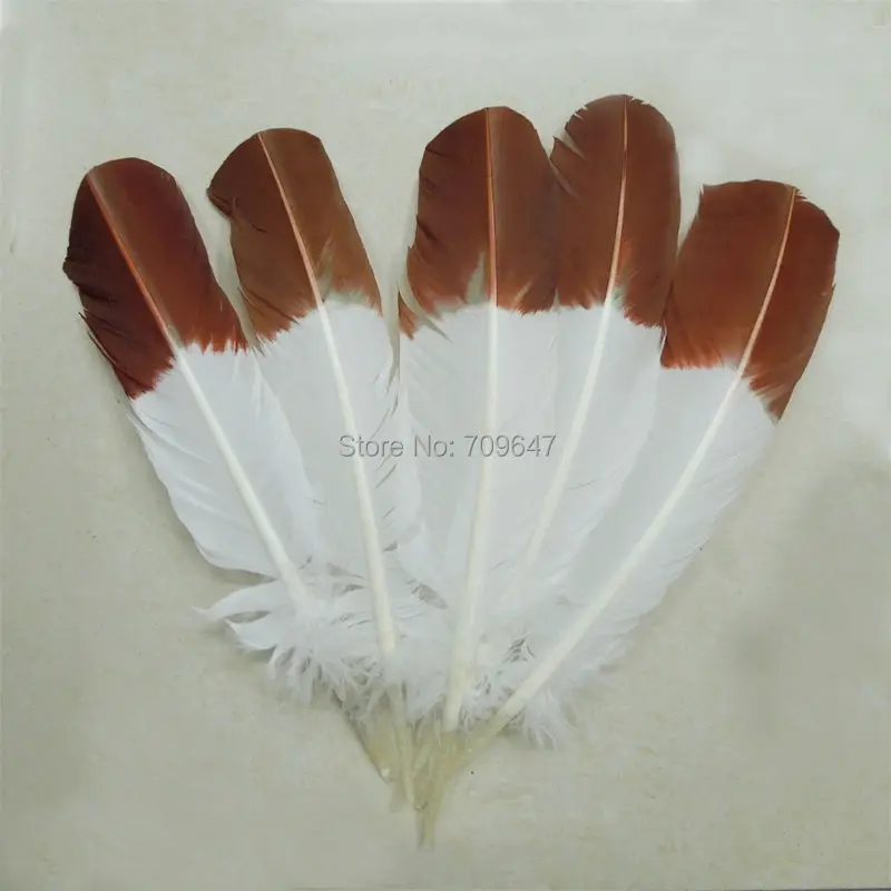 

30Pieces/lot!-Brown Dipped Top Turkey Round Wing Quill Feathers,10-12inches 25-30cm long,