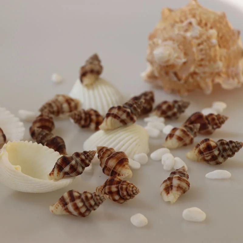 Бесплатная доставка (50 шт./лот) кофейные линии оболочки натуральный корпус &