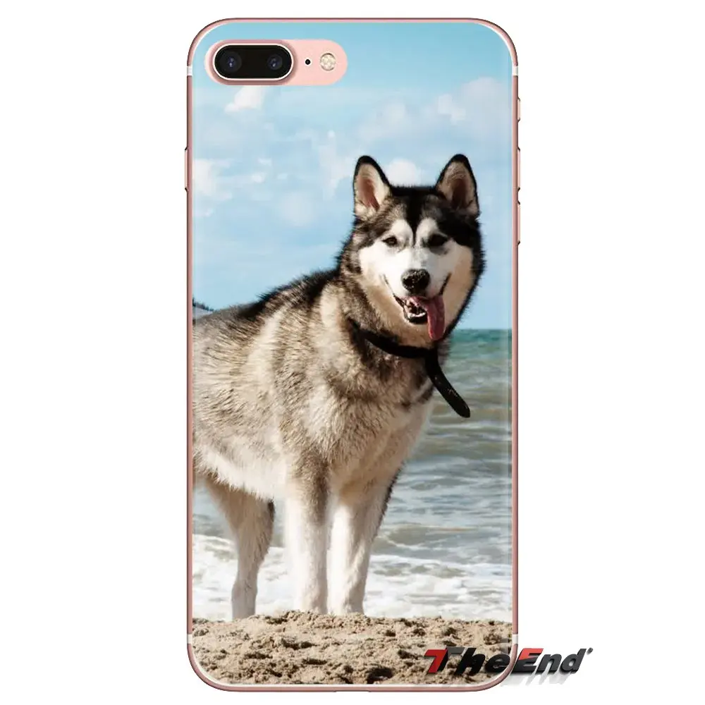 Transparent Soft Shell Covers Husky Dog For Huawei Mate Honor 4C 5C 5X 6X 7 7A 7C 8 9 10 8C 8X 20 Lite Pro |
