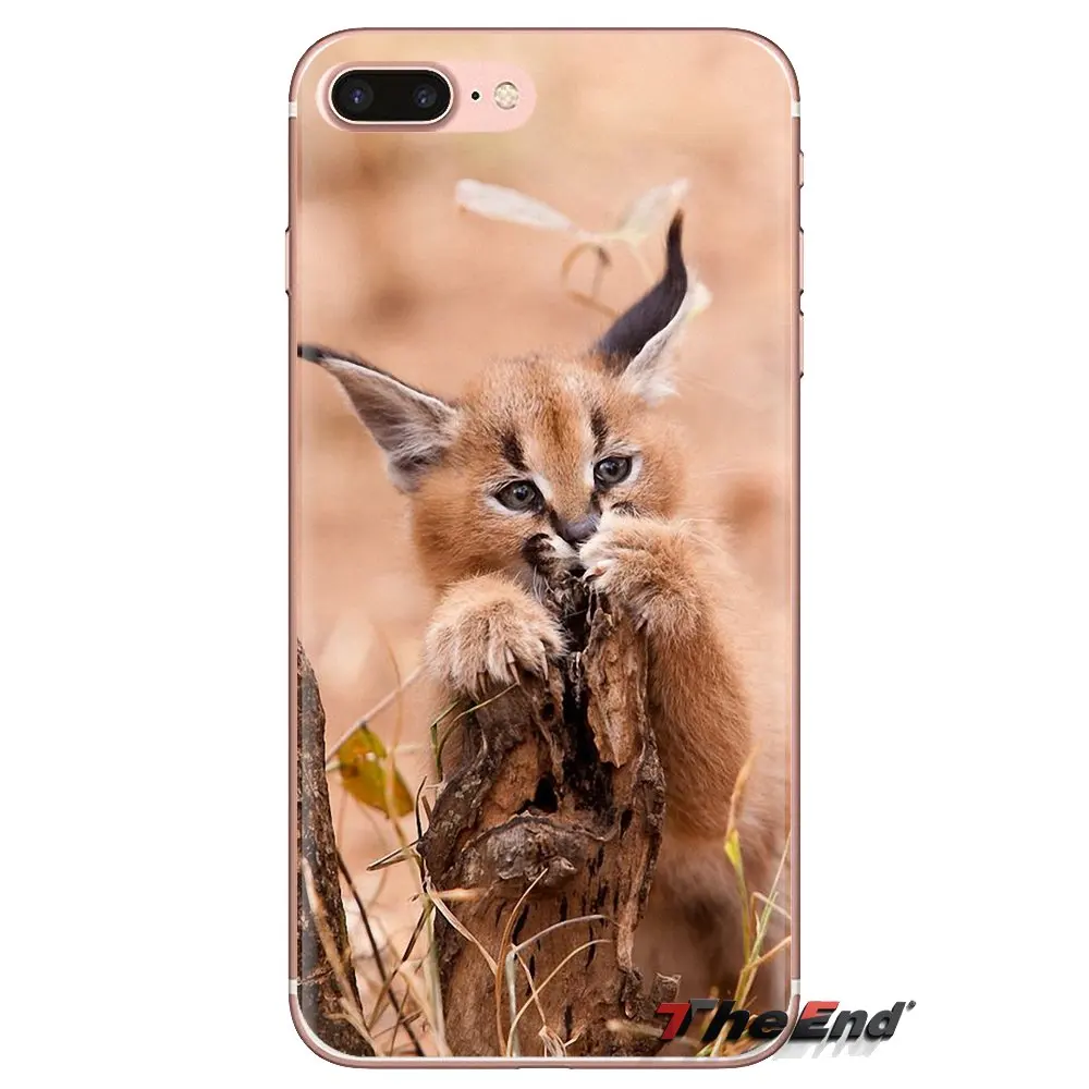 For Huawei G7 G8 P7 P8 P9 P10 P20 P30 Lite Mini Pro P Smart Plus 2017 2018 2019 Silicone Case Covers Africa Lynx Caracals kitten |
