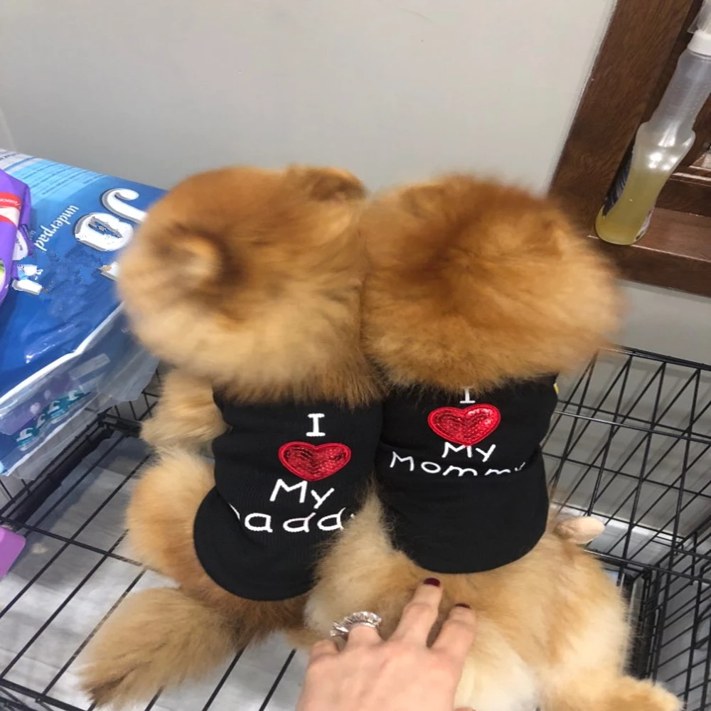 1 шт. весна Собака Одежда для домашних питомцев одежда собак Мода маленькая