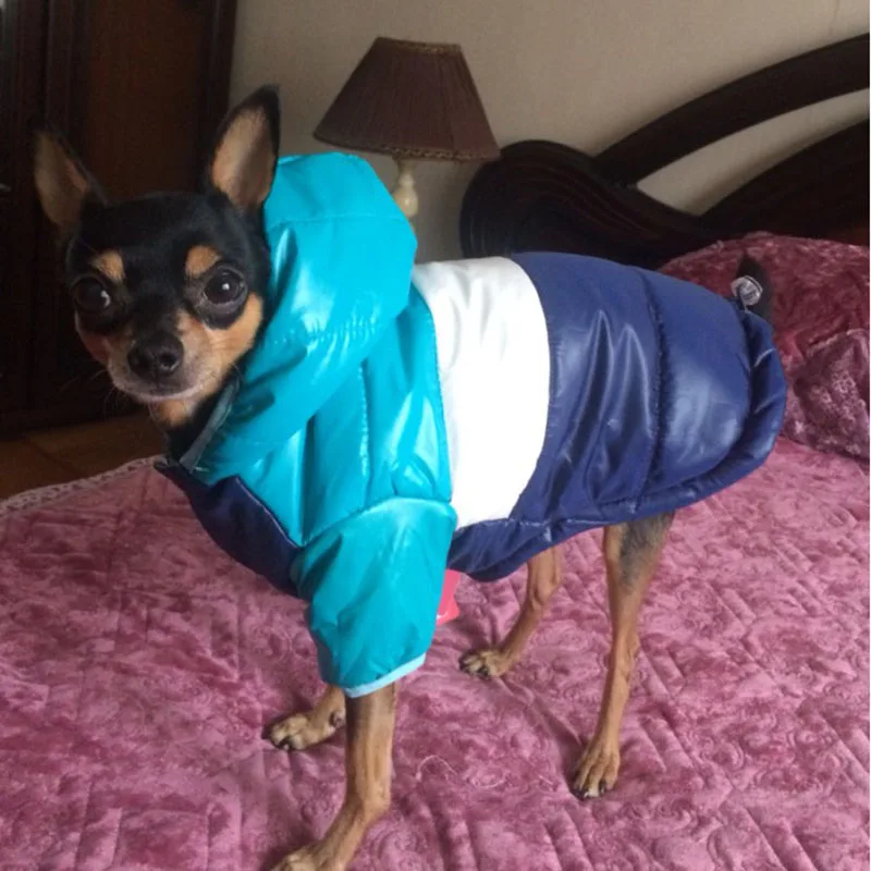 Зимняя одежда для домашних животных для собак, щенков Pet Теплая куртка-пуховик Куртка из искусственной кожи PU для малых и средних собак собаки чихуахуа французский одежда для бульдога