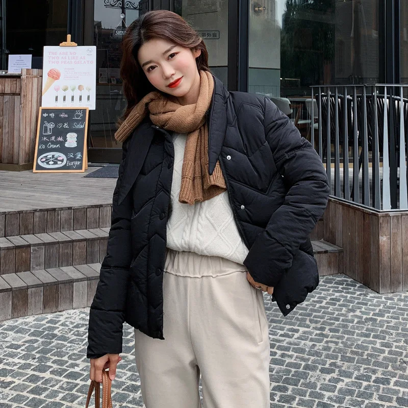 Лидер продаж верхняя одежда парки для женщин зимняя Длинная с капюшоном новый