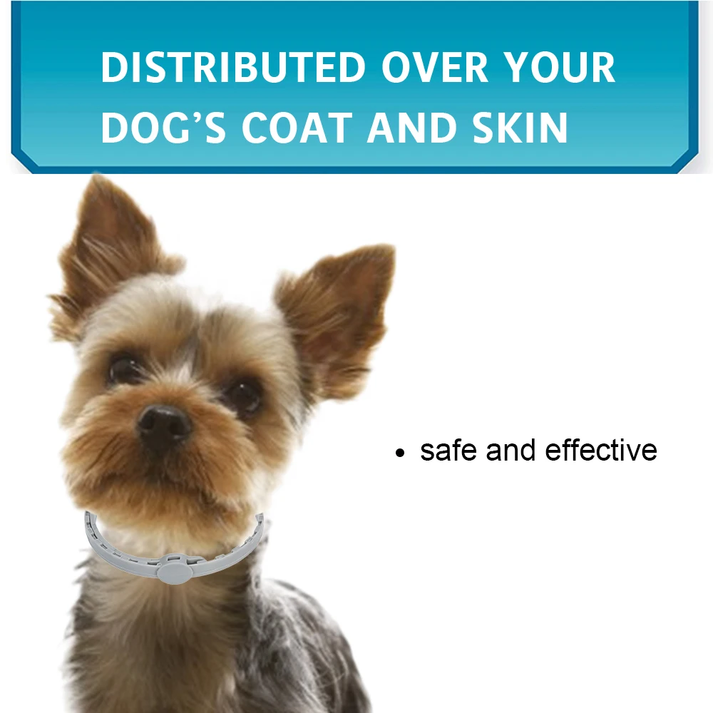 Водонепроницаемый ошейник для собак с натуральным эфирным маслом против блох и