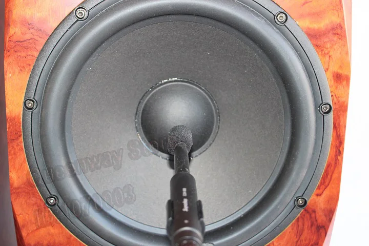 13 дюймов Hi-End напольная громкоговорителей динамик сканирующее устройство говорить 6640/7140 твитер+ 8878 бас+ accuton C173-6-090/096 СЧ "сделай сам"