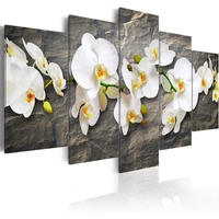 5 panels canvas art white flower painting for home decor orchid canvas wall art pictures for living room decor no frame