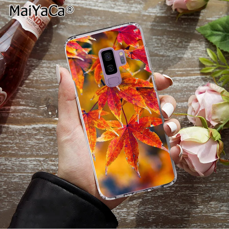 MaiYaCa Hello осень чехол с рисунком кленовых листьев чехлы для телефонов Samsung S9 plus S5 S6