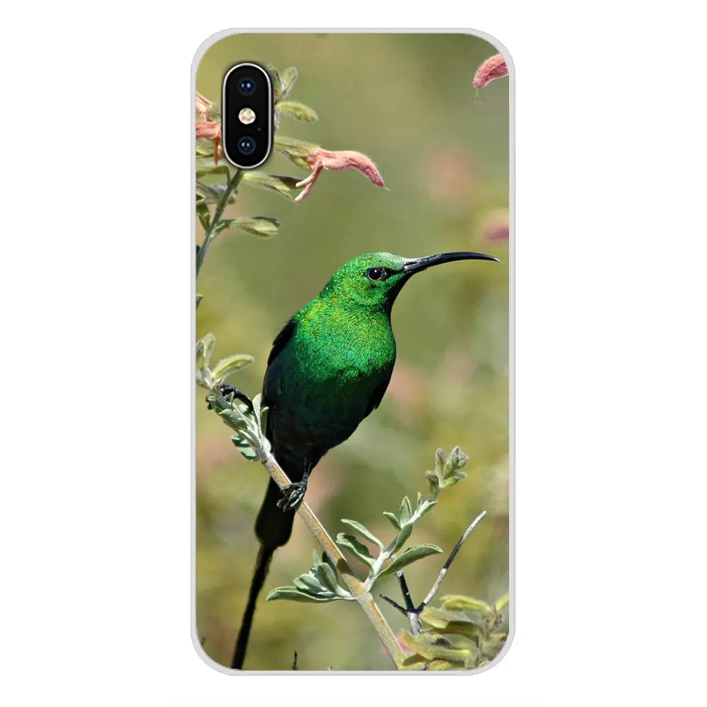 Аксессуары чехлы-накладки для Apple iPhone X XR XS MAX 4 4S 5 5S 5C SE 6 6S 7 8 Plus ipod touch с животными