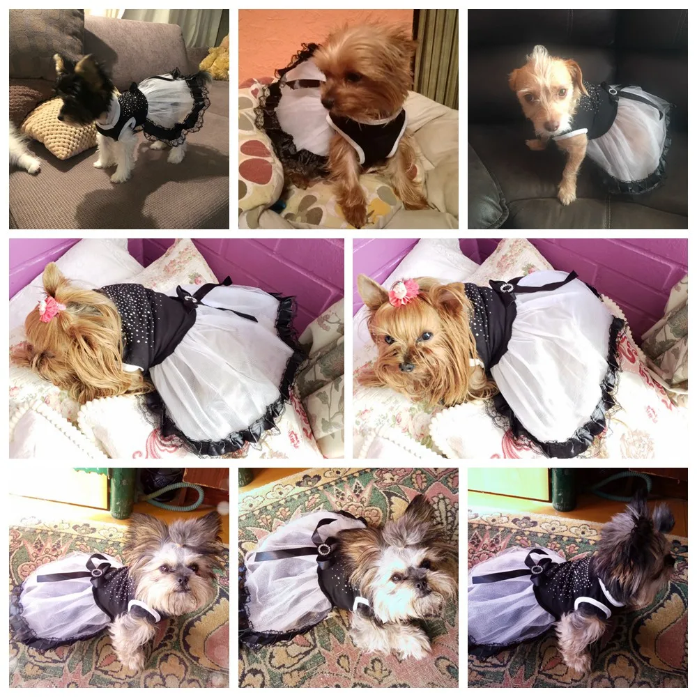 Cotton Lace Dog Dress Crystals Guipure Dogs Dresses Skirt Puppy Outfit Princess Girl Clothes Fancy Pet Products GGA004 | Дом и сад