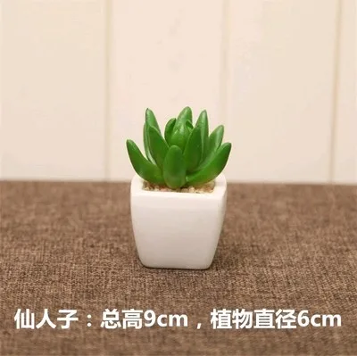 

Artificial lovely small potted succulents Decoration modern minimalist home office desktop decorative bonsai