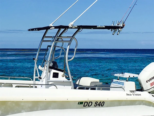 Dolphin Pro2 лодка t top bimini plus 1 бесплатная удочка Ракетница|launcher|launcher rocket |