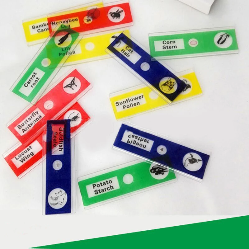 2019 наука пластиковые слайды подготовленные для микроскопа подарок на день