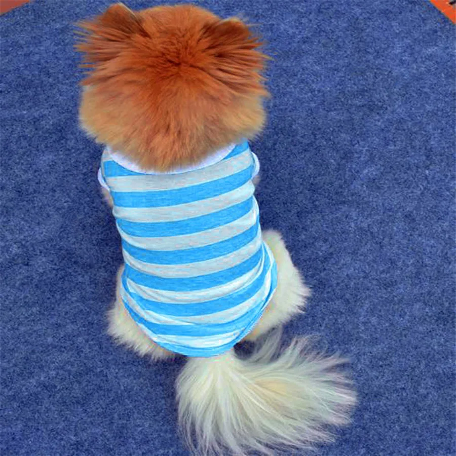 Новинка лидер продаж 2016 года одежда для маленьких собак и щенков модная