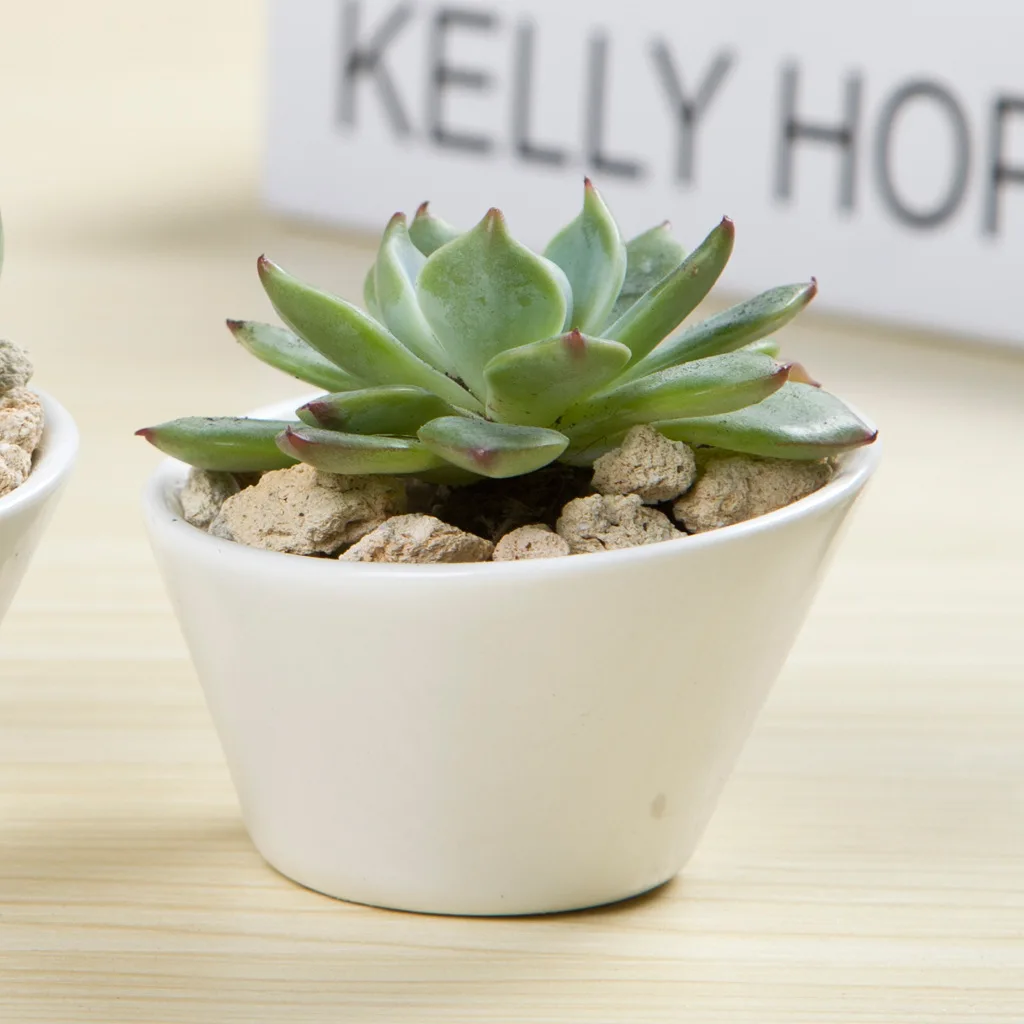 

8*8*4.8cm Simple white ceramic Desktop Creative mini fleshy pots oblique mouth small pot free shipping