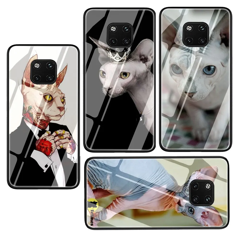 Чехол для телефона из закаленного стекла sphynx cat Huawei Mate P 10 20 30 Lite Pro Y9 Honor 8X 7A|Бамперы|