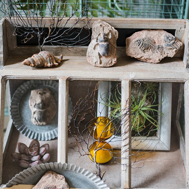 Доисторическая серия Fossil художественные украшения рыбий кости жуков и морской