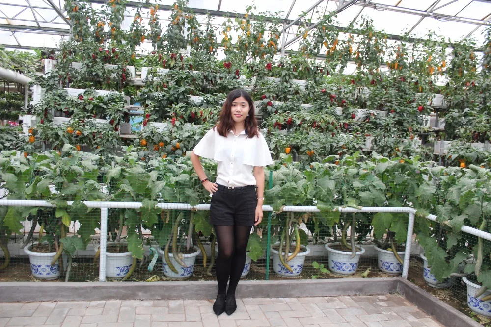 1 floors 4 main tubing with 36pcs net cup Hydroponics system NFT Nutrient Film Technique | Дом и сад