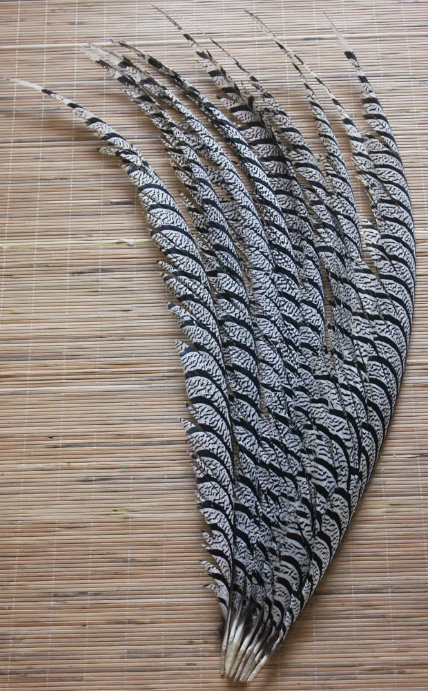 

80-90cm natural zebra pheasant feathers 5pcs lady amherst pheasant tails for performance wings accessory