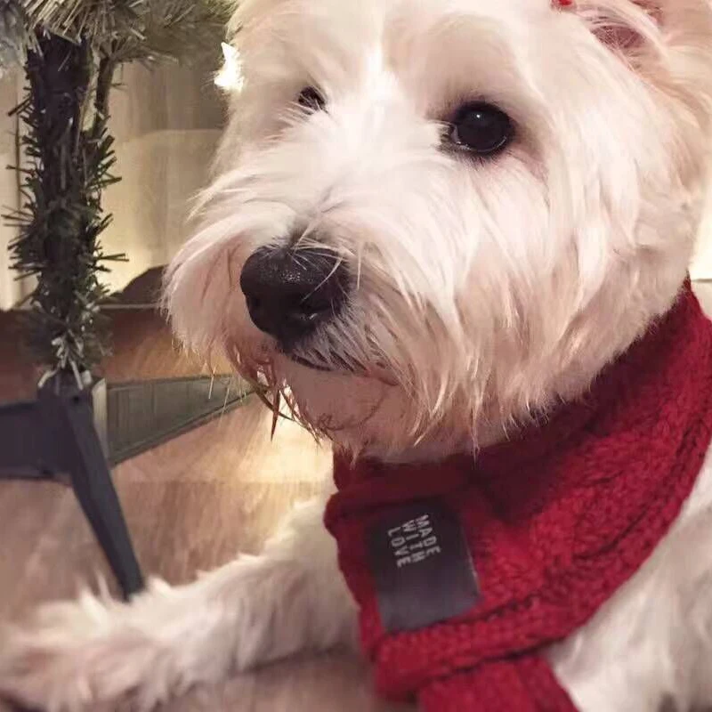 Зимние теплые ПЭТ шарфы для собак Вязание утолщаются шерстяной шарф вязаный