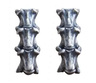 

Серьга-гвоздик Regalrock, анатомическая змея, спинномозговая кость, в стиле панк, Jakotsu, в готическом стиле, с скелетом, анатомическая бижутерия
