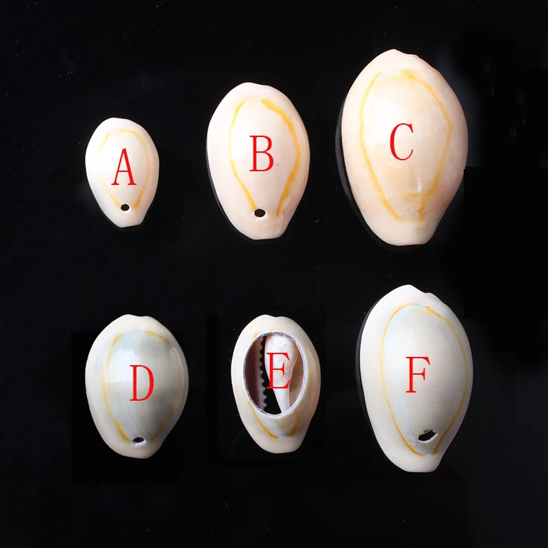 CAMDOE DANLEN бусины из натуральных раковин 13 26 мм белый Cowrie патроны подходят Diy женские