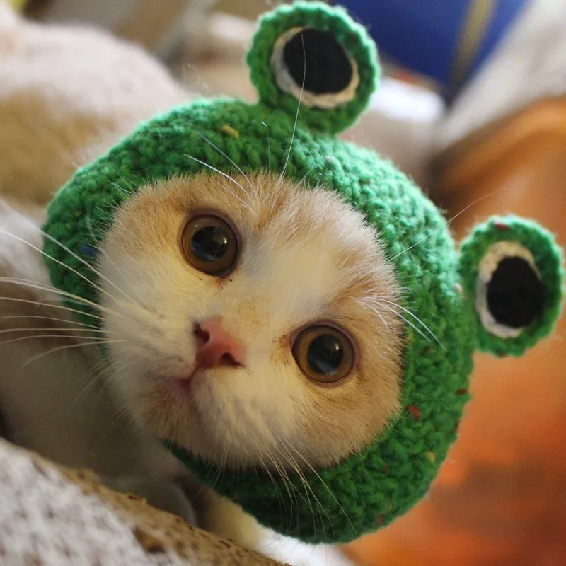 

Knitting Cute Animal Cat Puppy Frog Hat Winter Autumn Handmade Cotton Party Funny Dog Cap Accessories For Little Small Pet Goods