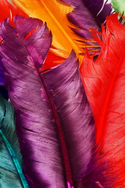 Современные картины на холсте 3 предмета красочные перья фотообои для столовой