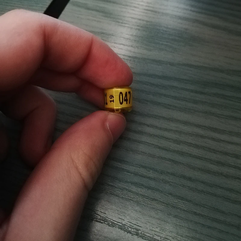 PL Pigeon колечко для ног со словом серьги польские 100 шт. Качественные прочные