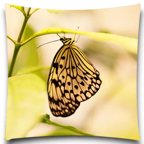 Квадратная наволочка с бабочками/насекомыми стильные хлопковые наволочки из