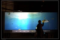 47 inch 4 points interactive multi touch foil film kit through glass window