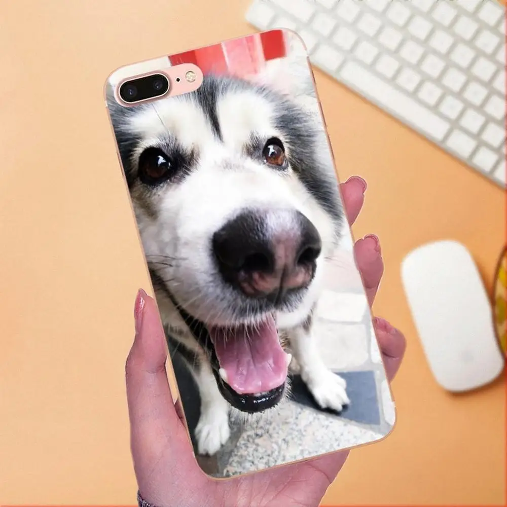 For Galaxy A3 A5 A7 On5 On7 2015 2016 2017 Grand Alpha G850 Core2 Prime S2 I9082 Soft Covers Funny Animal Miniature Husky | Мобильные