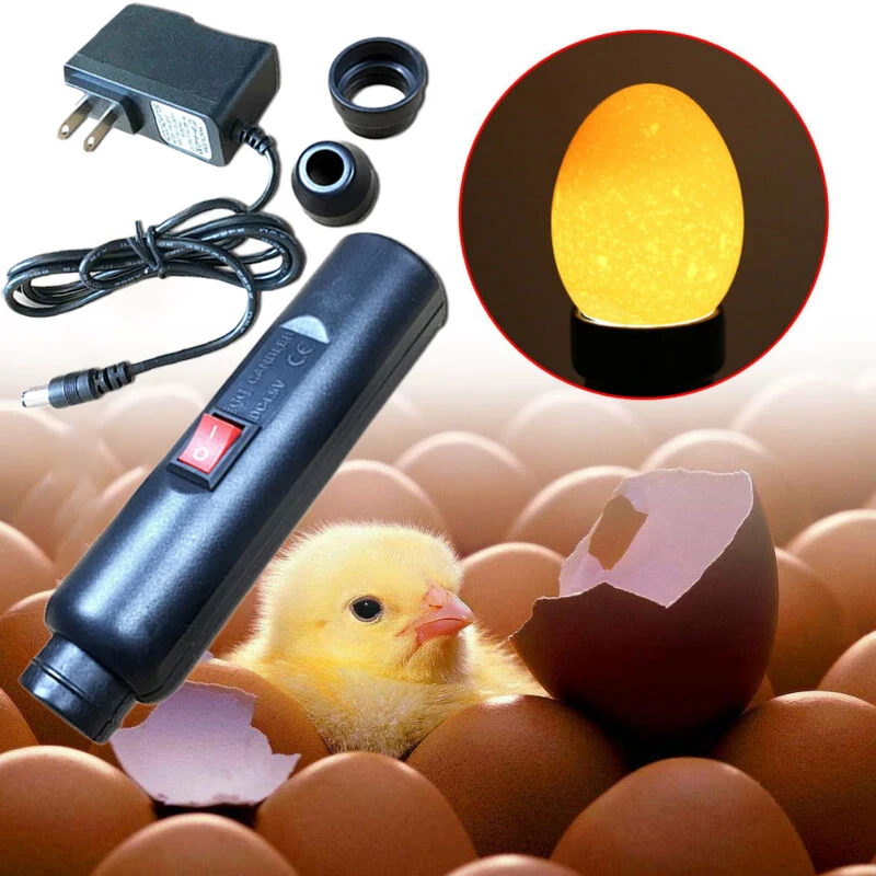 Яйцо Кандлер перепелиные инструменты тестер черный светильник светодиодный